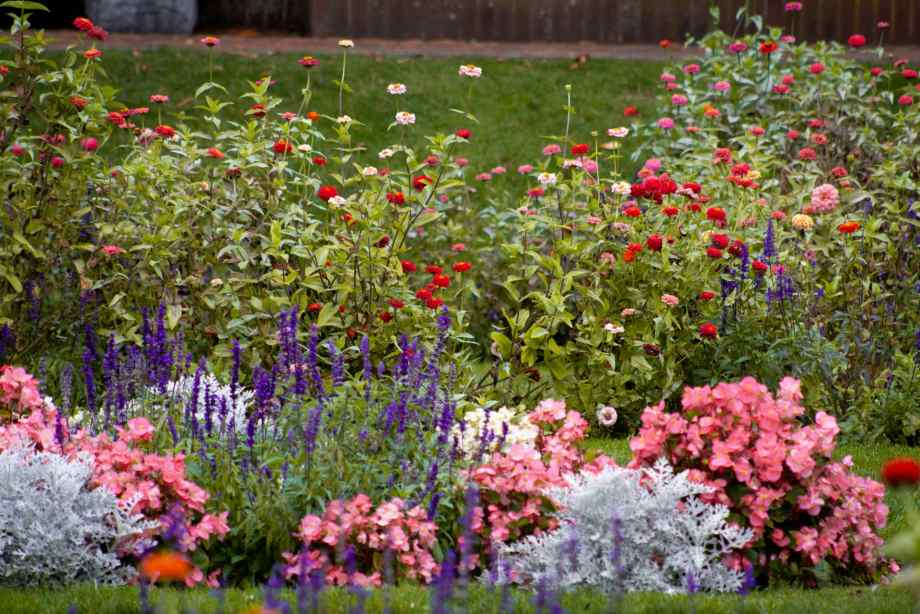 Concevoir la structure durable de vos massifs fleuris-SDE68 Habitat