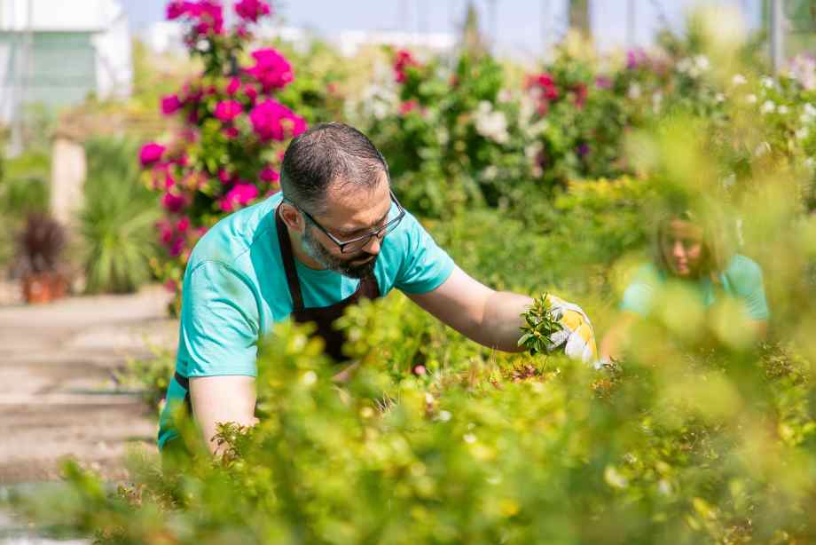 Les secrets d’un entretien optimisé au fil des mois-SDE68 Habitat