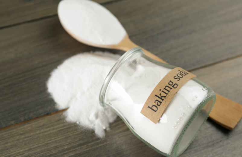 Le bicarbonate de soude contre l'oïdium et les champignons sur ses roses-SDE68 Habitat