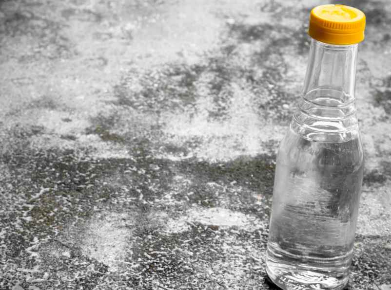 Le vinaigre blanc et les astuces contre les maladies des rosiers-SDE68 Habitat