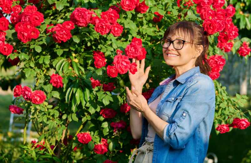 Maladies des rosiers : 7 remèdes de grand-mère à essayer-SDE68 Habitat