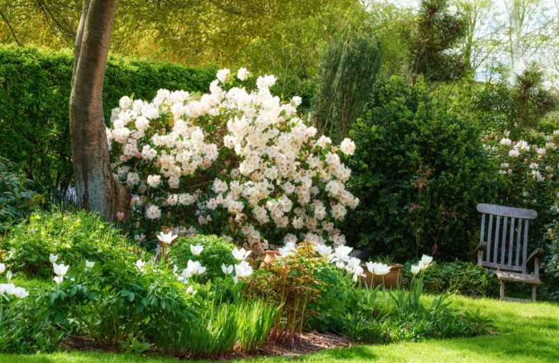 Optimiser vos recherches avec des photos et vidéos-SDE68 Habitat